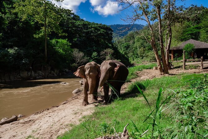 Sky Hawk Zipline Chiang Mai – Ultimate Canopy Adventure - Choosing between the three zipline packages