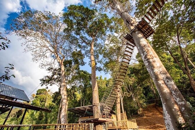 Sky Hawk Zipline Experience in Chiang Mai - The Course Experience: 18 Ziplines and 32 Platforms in the Canopy