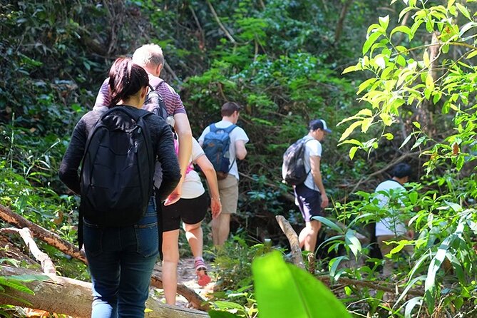 Small Group : Trekking Trip in Chiang Mai (Doi Suthep Area) with Market Tour - Doi Suthep Temple stop: culture first, then trail time