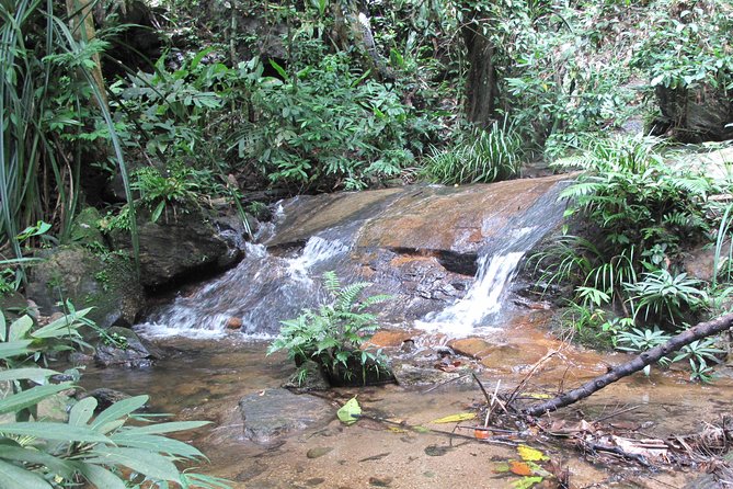 Small Group : Trekking Trip in Chiang Mai (Doi Suthep Area) with Market Tour - Trekking Doi Suthep–Pui National Park: what the guide actually adds