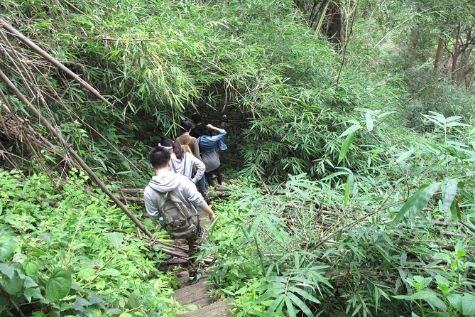 Small Group : Trekking Trip in Chiang Mai (Doi Suthep Area) with Market Tour - Price and value: $62.91 for a guided national-park trek day