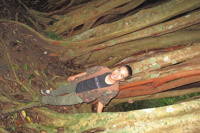 Small Group : Trekking Trip in Chiang Mai (Doi Suthep Area) with Market Tour - Who this Chiang Mai trek is best for
