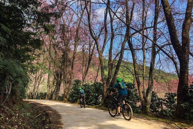 Smoke on the Water Trail Mountain Biking Tour Chiang Mai - Small group energy: why max 5 riders matters