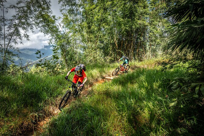 Stairway to Heaven Trail Mountain Biking Tour Chiang Mai - Stairway to Heaven: the kind of ride that changes your fitness level
