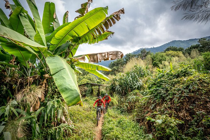 Stairway to Heaven Trail Mountain Biking Tour Chiang Mai - Morning at the trailhead: coffee, bike setup, then off-road time