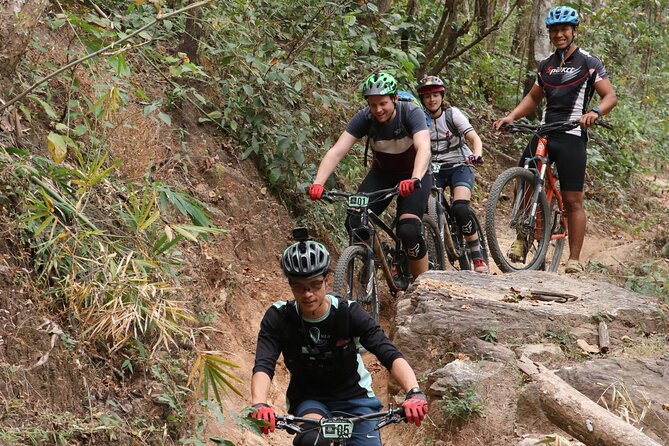 Stairway to Heaven Trail Mountain Biking Tour Chiang Mai - Who this tour suits best (and who should choose a softer day)