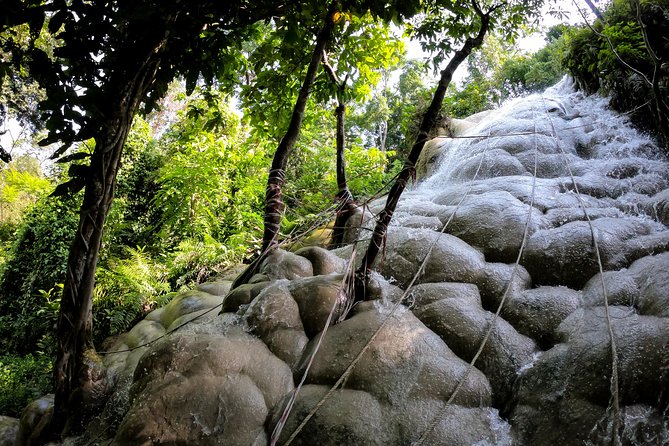 Sticky Waterfall Cycling Tour - Quick takes before you go