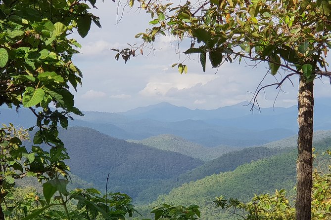 Sticky Waterfall Cycling Tour - Forest tracks, hills, and a cave with bats