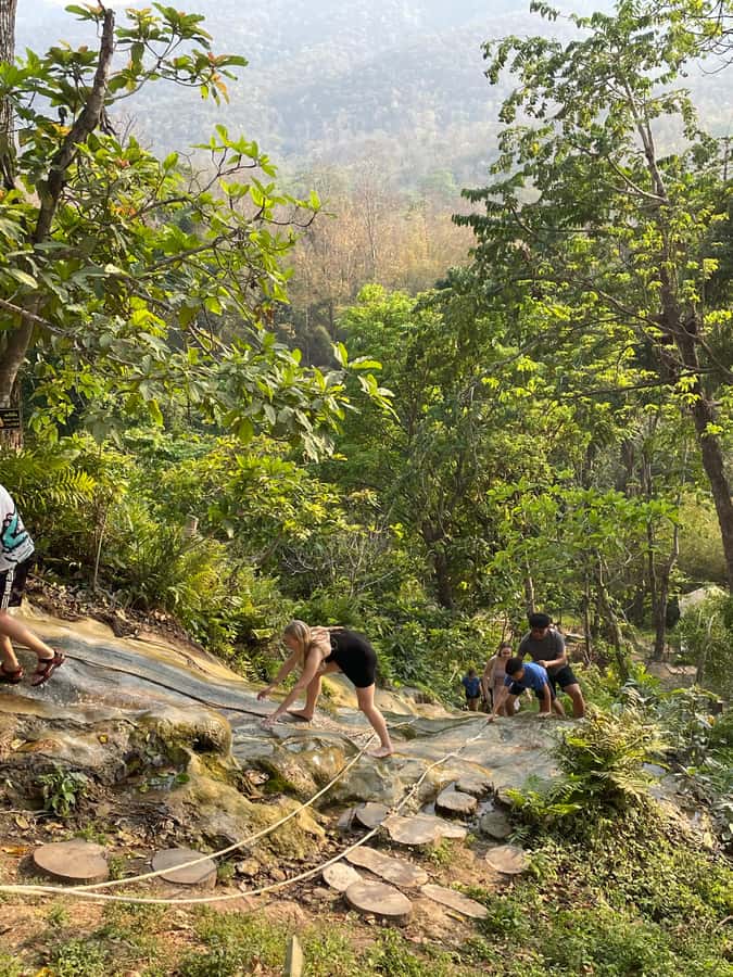 Sticky Waterfall Half-day with Private Car - Getting There From Chiang Mai: Timing, Comfort, and What to Expect in Real Life