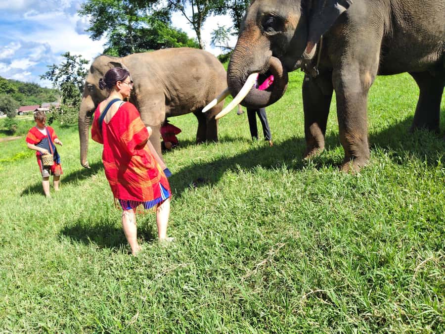 Sticky waterfalls- Elephants- Bamboo or White water rafting. - Key highlights you’ll actually feel