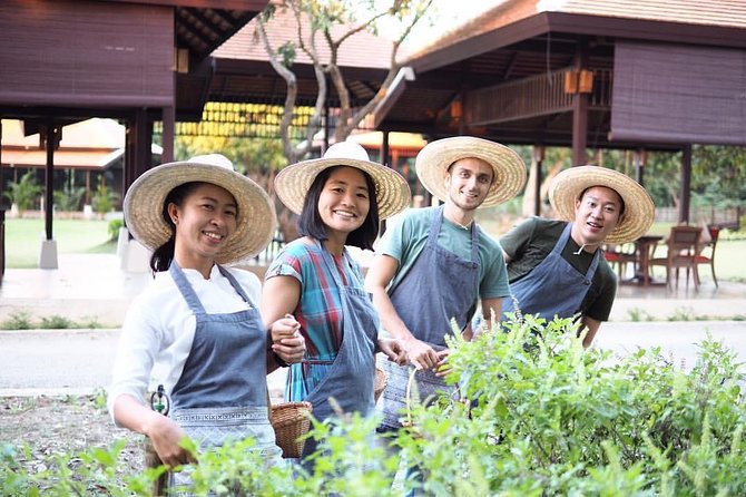 Sunset Thai Cooking with Grandma - Farm & Evening Feast - What you do on the organic farm: rice fields, chickens, mushrooms, and herbs