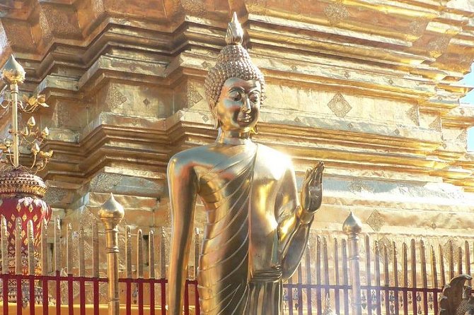 The Best Chiang Mai City Private Tour: Famous Temples & Viewpoint - Private transportation and the comfort details that matter