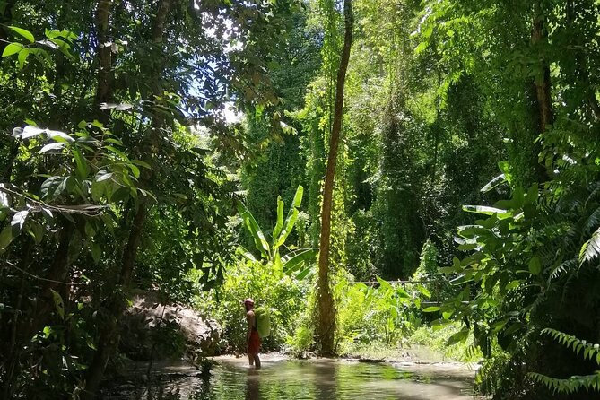 The Best Full Day Tour: Doi Suthep, Wat Phalat, Sticky Waterfall - Wat Pha Lat’s forest quiet: where the temple feels less crowded