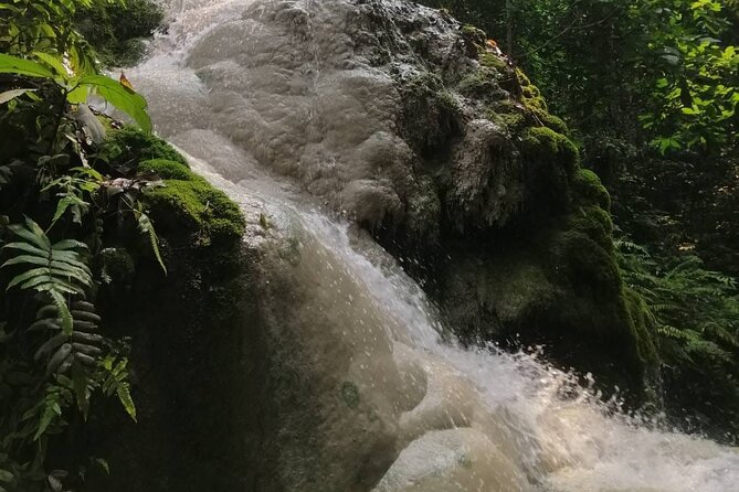 The Best Full Day Tour: Doi Suthep, Wat Phalat, Sticky Waterfall - Bua Tong Sticky Waterfall (Nam Phu Chet Si): climbing, showering, and footing