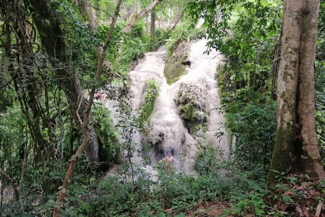 The Best Full Day Tour: Doi Suthep, Wat Phalat, Sticky Waterfall - Lunch breaks and food stops: local, practical, and flexible