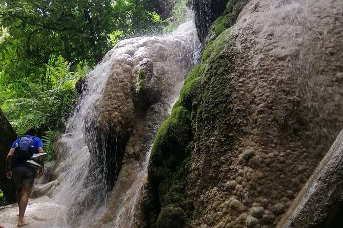 The Best Full Day Tour: Doi Suthep, Wat Phalat, Sticky Waterfall - Wat Phra That Doi Suthep: golden pagoda views and temple practice