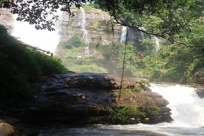 The Best One Day Trip Of Doi Inthanon National Park - Pickup, Private Format, and How the Day Really Flows