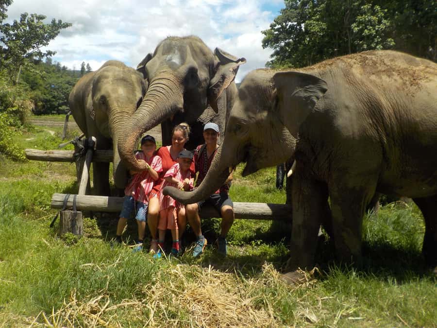 The Must-Do: Authentic Elephant & Village Life in Chiang Mai - Key things I’d prioritize