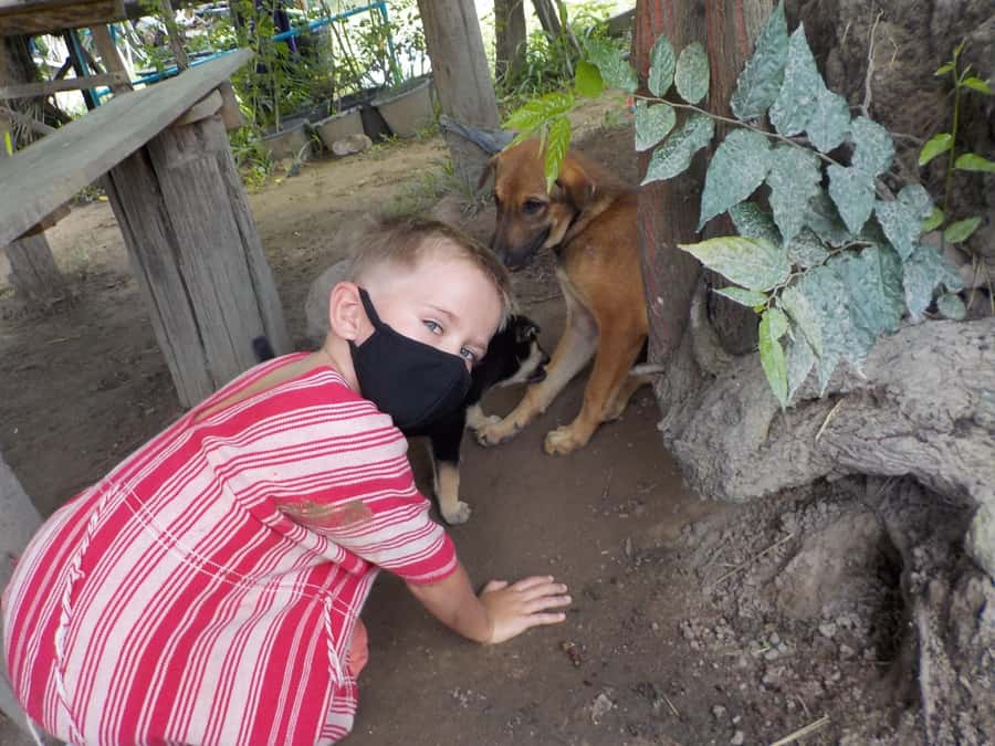 The Must-Do: Authentic Elephant & Village Life in Chiang Mai - The River Bath: Calm, Peaceful, and Often the Favorite Moment