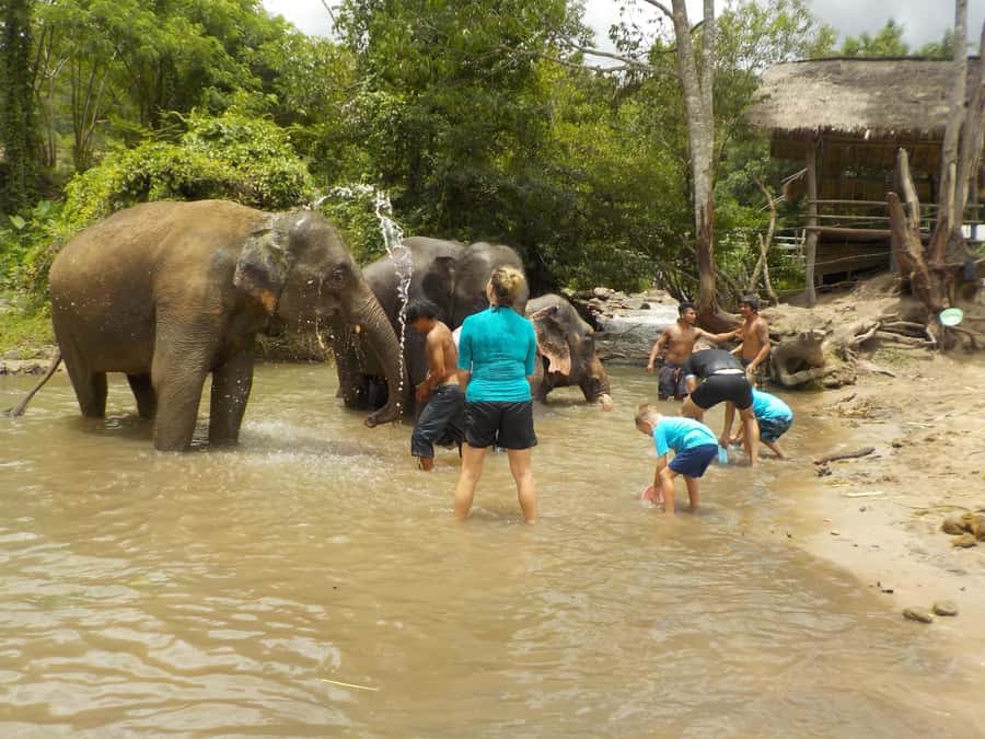 The Must-Do: Authentic Elephant & Village Life in Chiang Mai - Lunch With Mountain Views (and Why It’s Part of the Value)