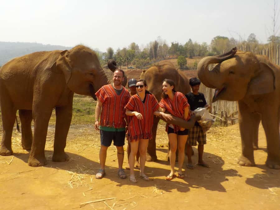 The Must-Do: Authentic Elephant & Village Life in Chiang Mai - Mae Wang Waterfall Walk and the Karen Village Stop