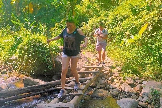 Top Pick - Full or Half Day @Elephant in Wild Sanctuary ChiangMai - Key highlights worth your attention