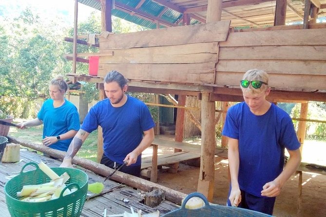 Top Pick - Full or Half Day @Elephant in Wild Sanctuary ChiangMai - White-water rafting through the rainforest: short training, then action