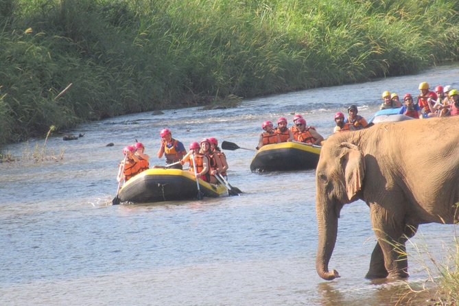 Top Pick - Full or Half Day @Elephant in Wild Sanctuary ChiangMai - Clothes, mud, and shoes: the small choices that save your day
