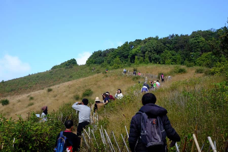 Tour with Hike in Kiew Mae Pan Natural Trail from Chiang Mai - Kiew Mae Pan to Inthanon: what this 9-hour day really feels like