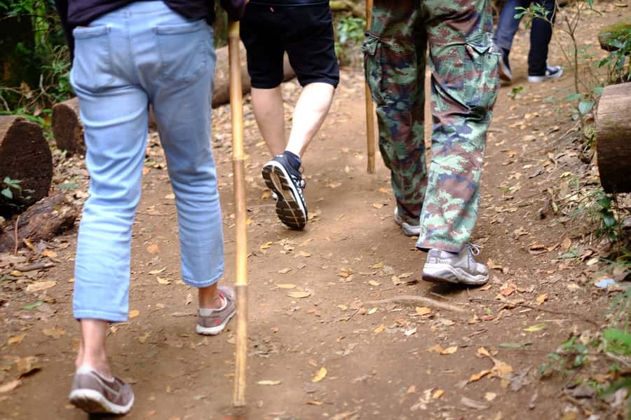 Tour with Hike in Kiew Mae Pan Natural Trail from Chiang Mai - Doi Inthanon and quick sightseeing breaks before the hike