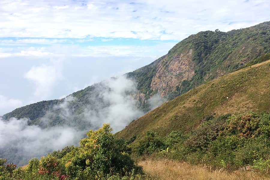 Tour with Hike in Kiew Mae Pan Natural Trail from Chiang Mai - Eco Walk on Kiew Mae Pan Nature Trail: rhododendrons, water, and a payoff cliff