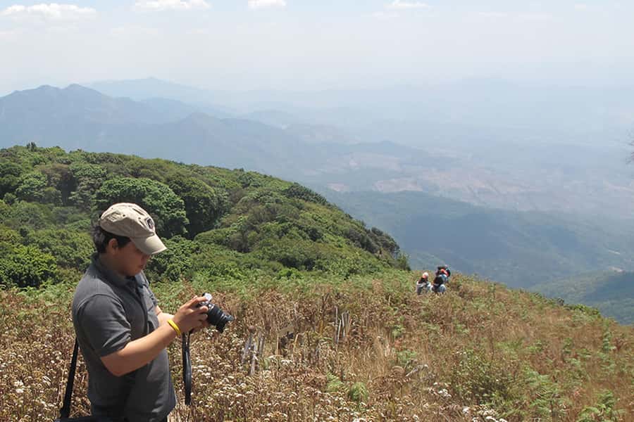 Tour with Hike in Kiew Mae Pan Natural Trail from Chiang Mai - Angka Nature Trail and the highest peak stroll