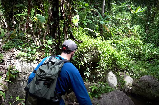 Trek to a Jungle Waterfall - Morning Trek Reality in Chiang Mai: A Simple 8:00 a.m. Start