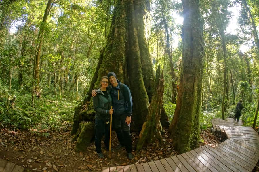Two days Doi Inthanon national park - Doi Inthanon altitude: why the air and views feel different