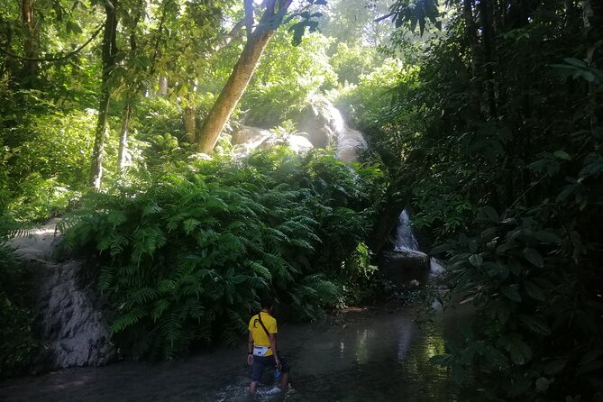 Visit Dantewada(Angel Land), Blue Temple, and Sticky Waterfall - Stop 1: Dantewada (Land of Angels) waterfall park and flower gardens
