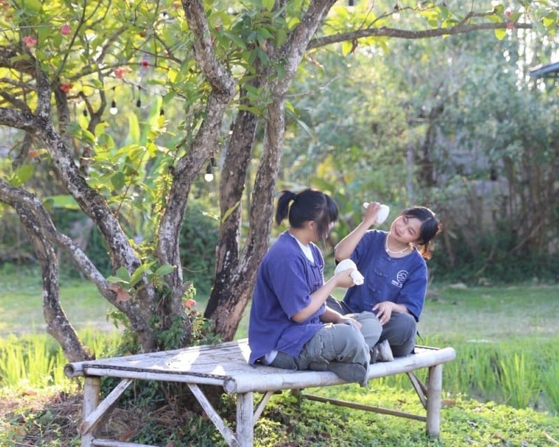 Workshop Making Herbal ball & herbal inhaler - What the herbalists teach you: Herb properties you can actually remember