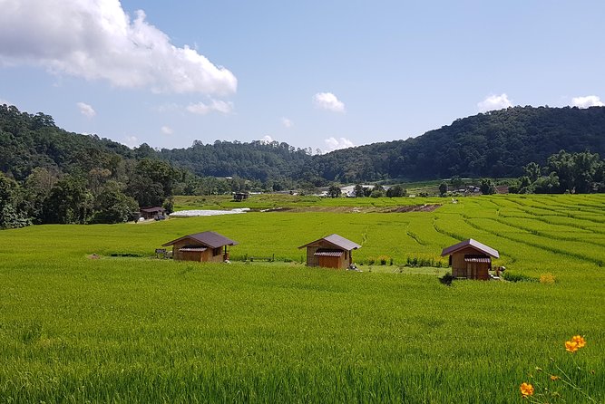 Wow! Doi Inthanon National Park Adventure, Lunch & Entry Included - Small groups, big schedules: pickup timing and van reality