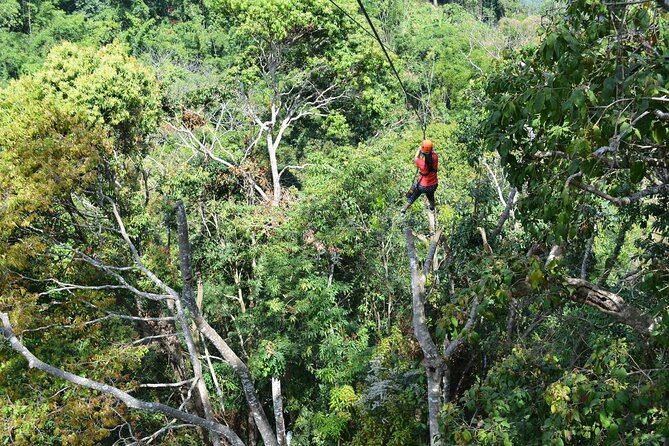 Zipline Adventure at Skyline Jungle Luge Chiang Mai - Who should book (and who should skip) the zipline course